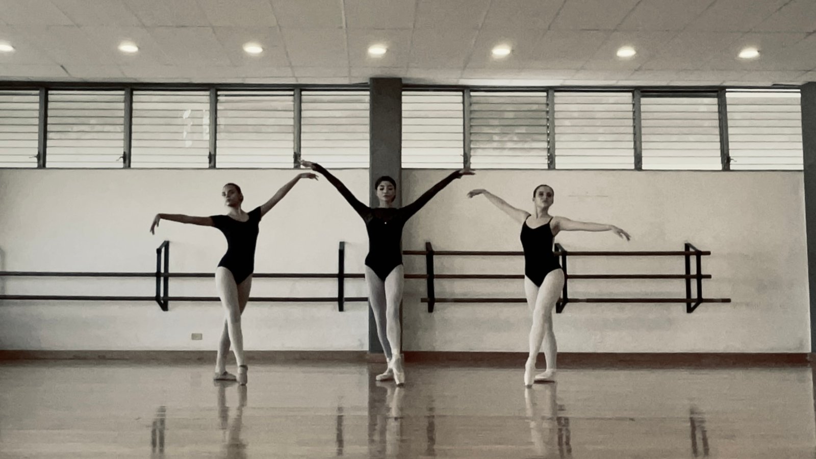 Bailarina mostrando una línea técnica de ballet