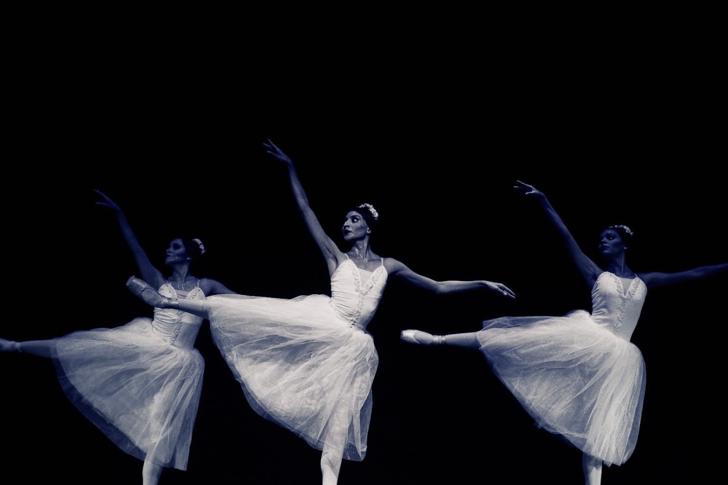 Trabajo de curaduría y limpieza coreográfica